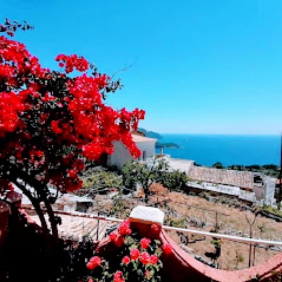 Traditional Panoramic Sea View House Lákones エクステリア 写真